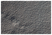 Hellas Planitia Terrain