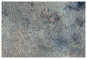 Northern Plains Terrain