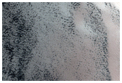Persistent Northern Plains Ice Deposit Leeward of Crater