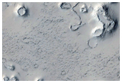 Possible Cone Field in Phlegra Dorsa