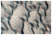 Polygonal Ground with Bedforms