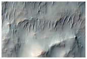 Debris Apron in Crater in Terra Sirenum