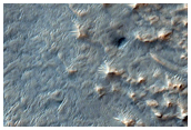 Possible Phyllosilicates in Meridiani Planum
