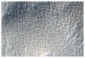 Nestus Valles