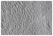 Knobs in Arcadia Planitia