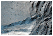 Gullies Exposing Interior of Lobe with Surface Ridges