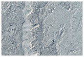 Diverse Lava Morphologies in Elysium Planitia