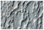 Putative Chlorides near Columbus Crater