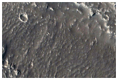Fluvial Features Northwest of the Elysium Region