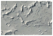 Unusual Surface Structure in Daedalia Planum