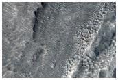 Gullies on Crater Wall
