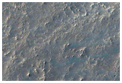 Lava Flows in Daedalia Planum
