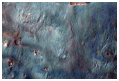 Possible Phyllosilicate-Rich Area in Syrtis Major