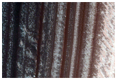 Monitor North Polar Scarp for Active Frost-Dust Avalanches
