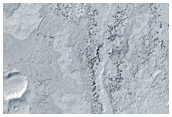 Diverse Lava Morphologies in Elysium Planitia