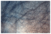 Crater in Acidalia Planitia