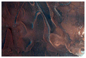 Monitor North Polar Scarp for Active Frost-Dust Avalanches