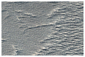 Terrain in Daedalia Planum