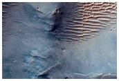Central Uplift of a Large Impact Crater
