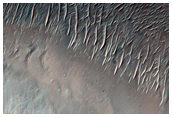 Possible Phyllosilicates in Her Desher Vallis