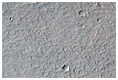 Very Recent Impact Site