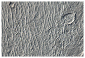 Sinuous Ridges in Zephyria Planum