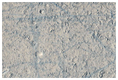Knobs and Platy Flows near the Erebus Montes