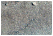 Crater Rim in Tantalus Fossae