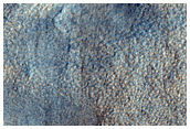 Northern Plains Terrain