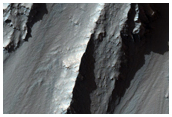 Possible Phyllosilicates in Tithonium Chasma