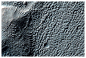 Gullies in Southern Crater