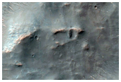 Possible Phyllosilicates