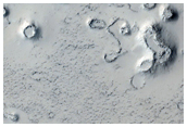 Possible Cone Field in Phlegra Dorsa