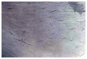 Fan at Intersection of Valley with Crater Floor