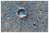 Ares Vallis Pathfinder Lander Landing Site