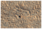 Phoenix Lander after One Mars Year