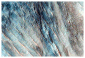 Distributary Fan and Wall Strata in Ganges Region