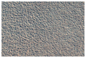 Possible Hydrate-Rich Terrain