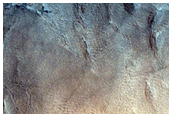 Crater in Acidalia Colles
