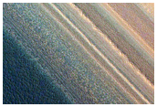 North Polar Seasonal Streaks