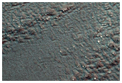 Sustained Bright Patches at Margins of North Polar Layered Terrain