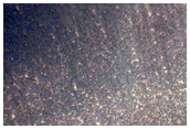 Sustained Bright Patches at Margin of North Polar Layered Deposits