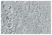Small Channel in Elysium Planitia