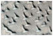 Possible Hydrate-Rich Terrain in Northern Lowlands
