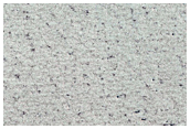 Sustained Bright Patches