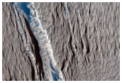 Ridges and Dark Material West of Olympus Mons