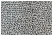 Possible Hydrate-Rich Terrain