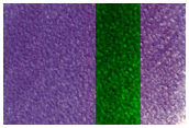 Possible Hydrate-Rich Terrain