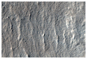 Distal Margins of the Western Ejecta of Corinto Crater