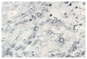 Volcanic Rootless Constructs in the Western Tartarus Colles